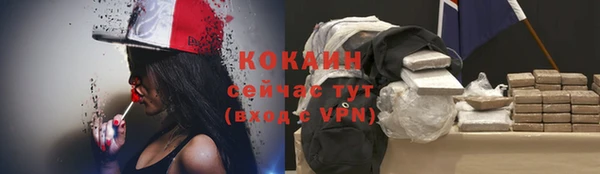 spice Алексин