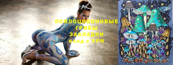 spice Алексин